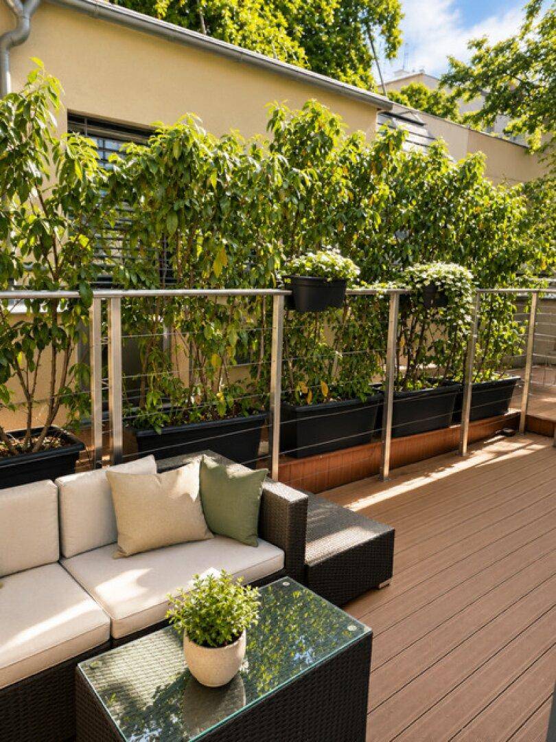 Sonnige Dachterrasse mit bequemen Loungemöbeln und üppiger grüner Bepflanzung.