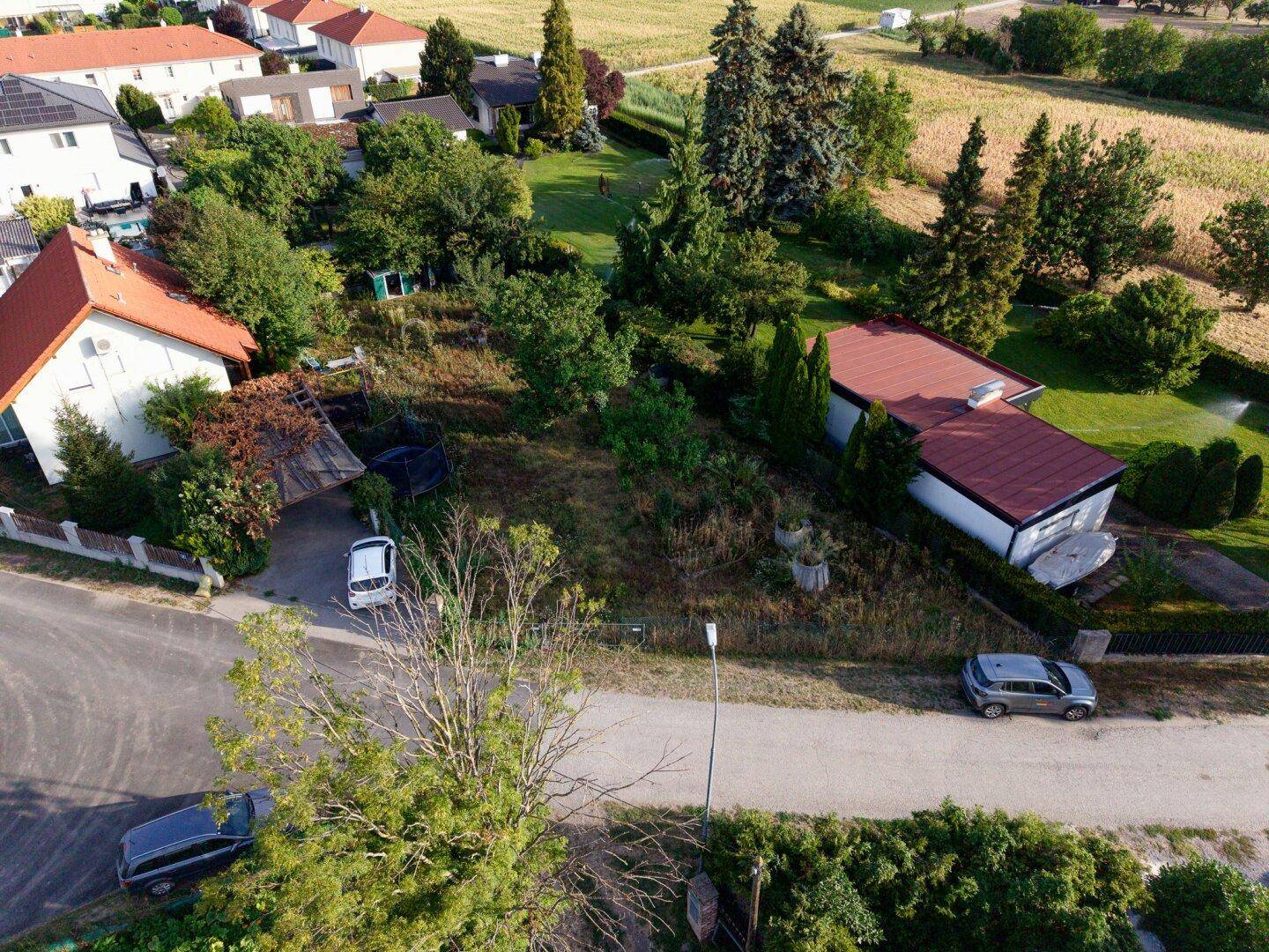 Luftaufnahme eines Wohngebiets mit Häusern, Gärten und einer Straße, umgeben von viel Grün.