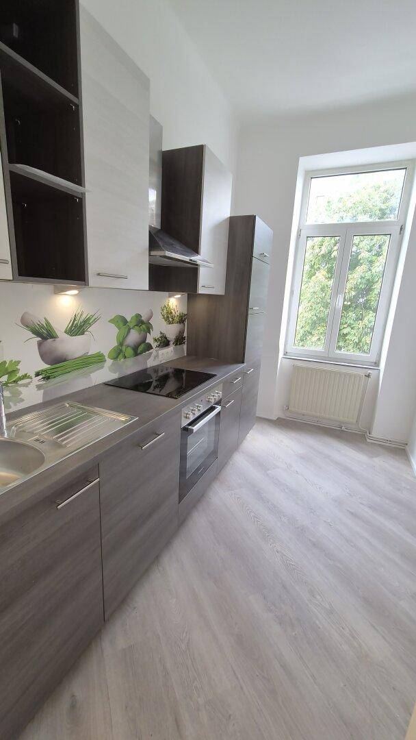 Helle Küche mit modernen grauen Schränken, Induktionskochfeld und Fenster mit Grünblick.