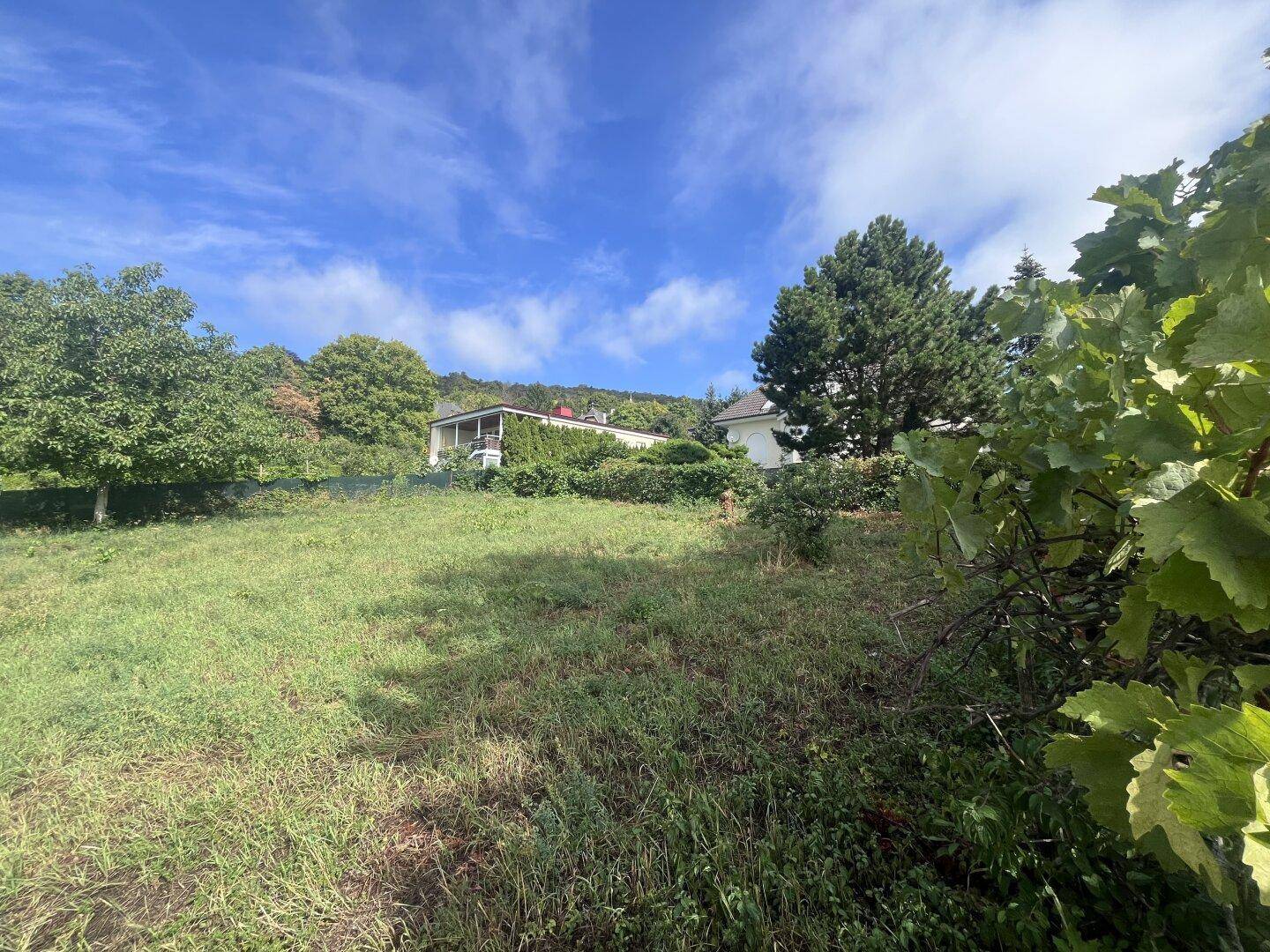Grünes, leicht bewachsenes Grundstück mit Blick auf umliegende Häuser und Hügel.