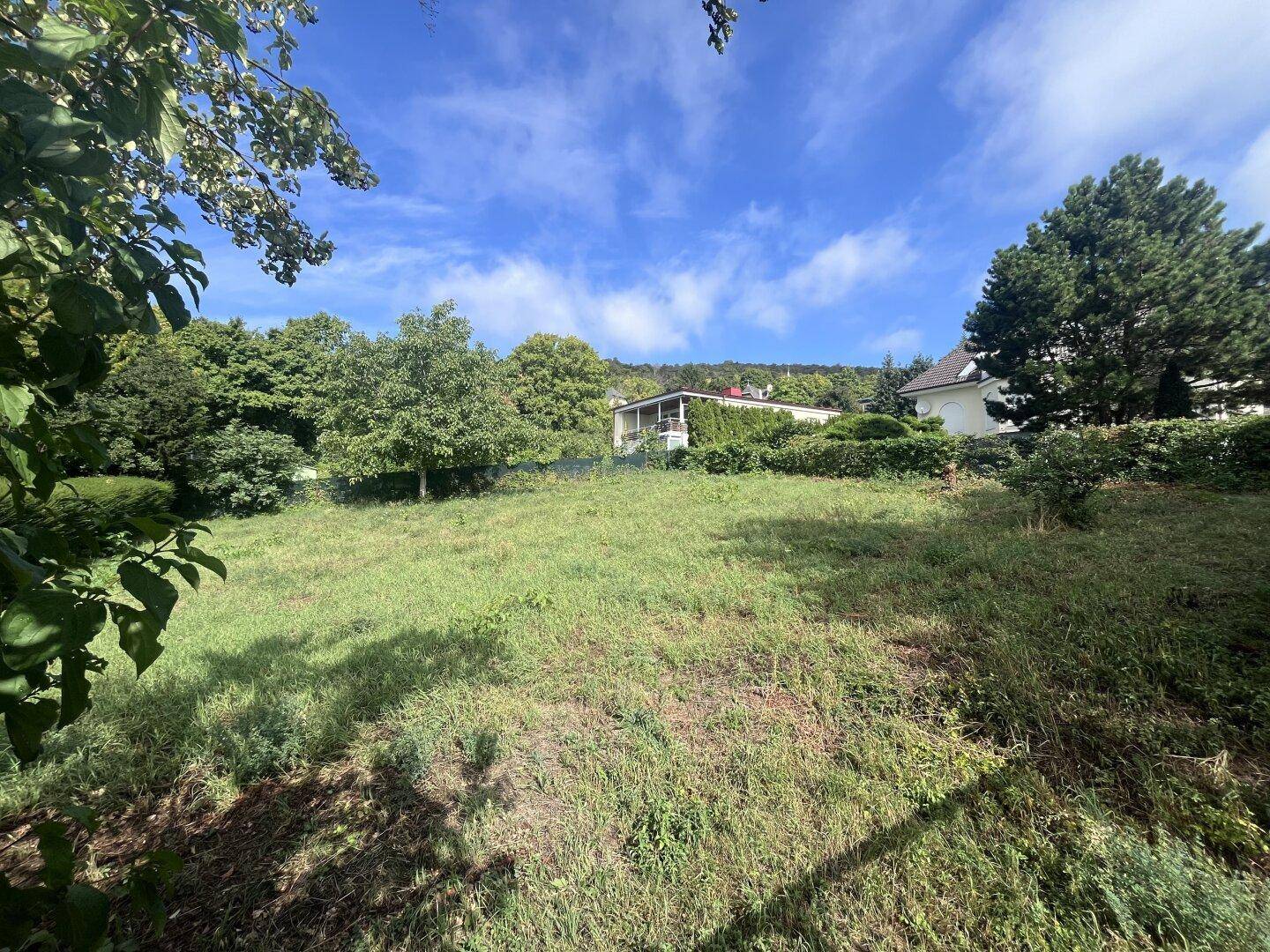Sonniges Gartengrundstück mit üppiger Vegetation und weitem Blick in die Landschaft.