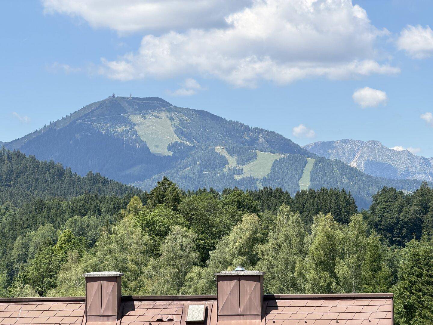 Atemberaubender Panoramablick auf einen bewaldeten Berg mit Skipisten unter blauem Himmel.