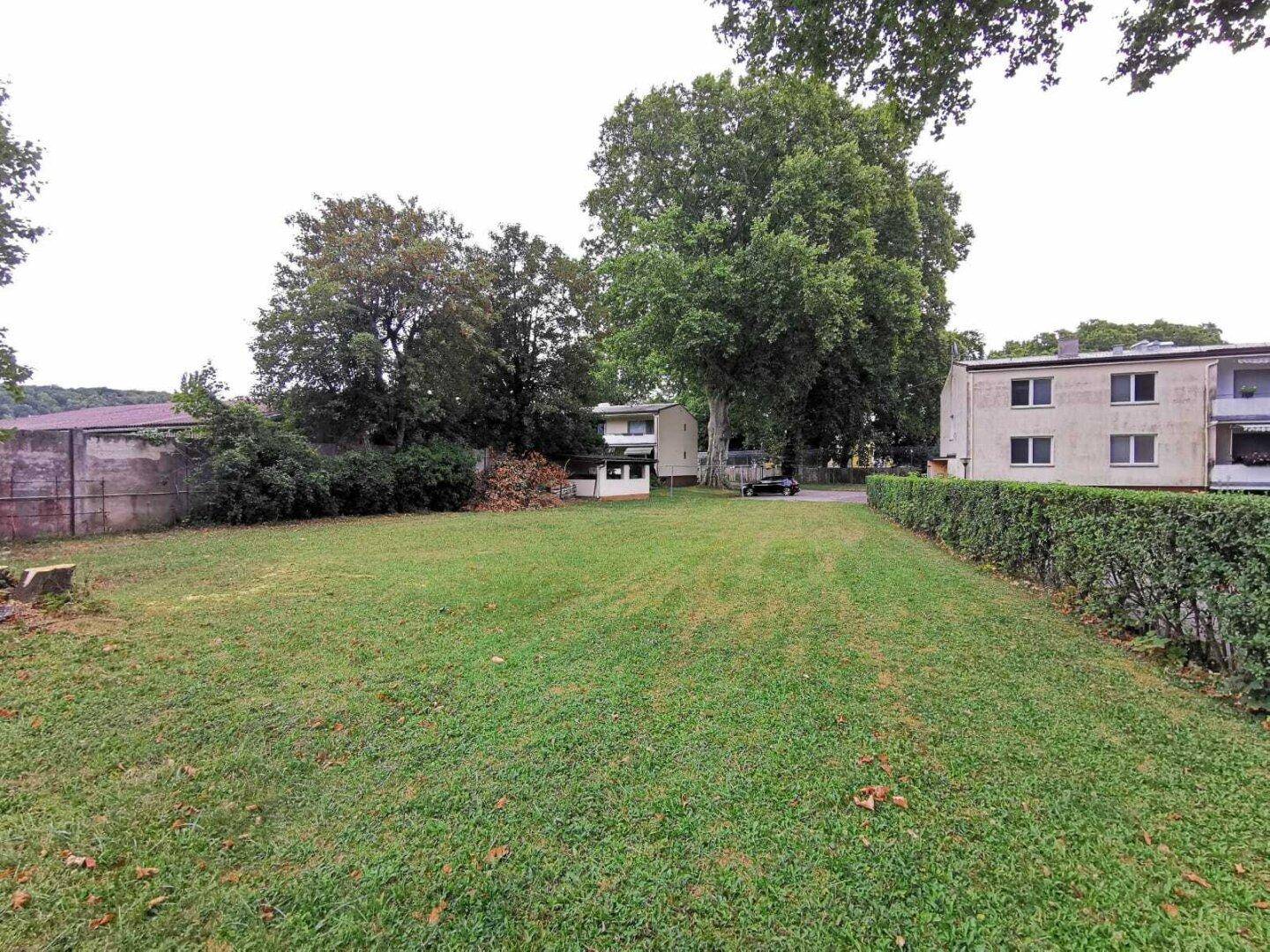Große Rasenfläche mit Bäumen und Hecken im Hintergrund, ideal für Erholung.