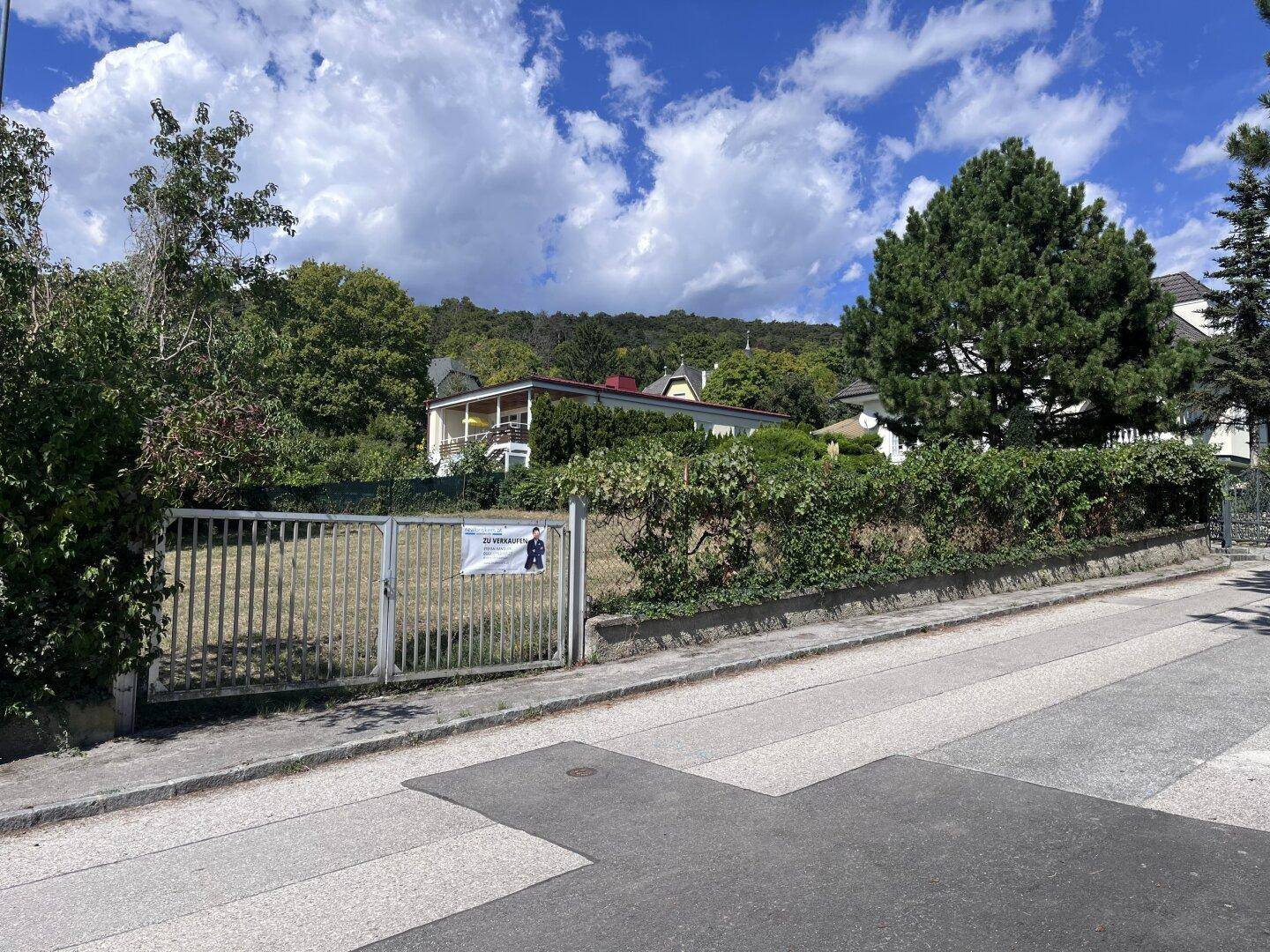 Eingangsbereich des Grundstücks mit Metalltor und Blick auf die grüne Umgebung.