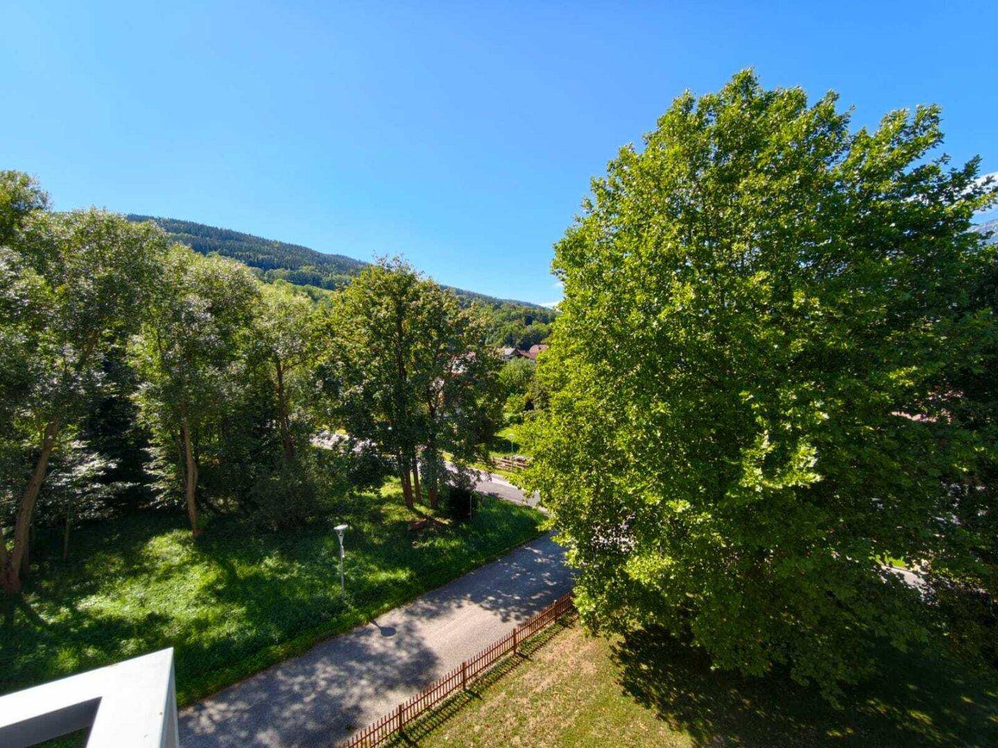Weitläufiger Blick auf eine grüne Baumlandschaft und eine kleine Straße, die durch die Natur führt.