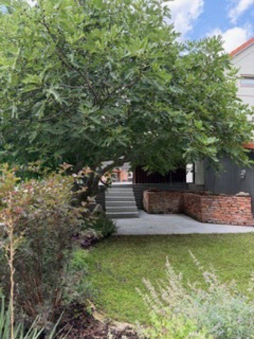 Gepflegter Gartenbereich mit großer Rasenfläche, altem Baum und Außentreppe zum Haus.