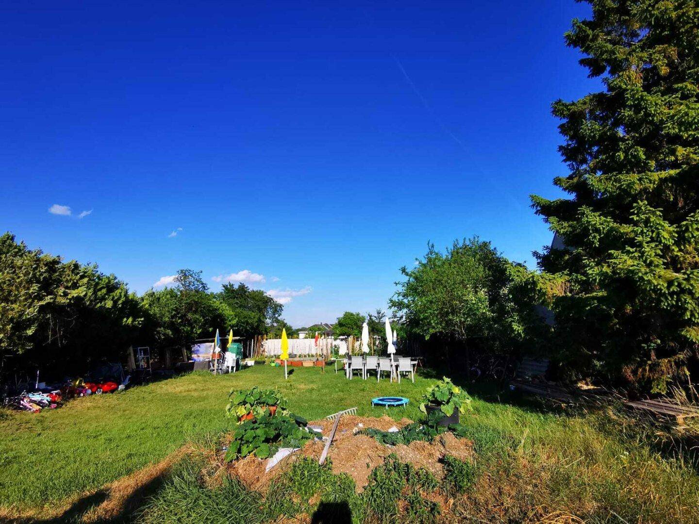 Weitläufiger Garten mit Rasenfläche, Bäumen und einem Bereich für Outdoor-Aktivitäten.