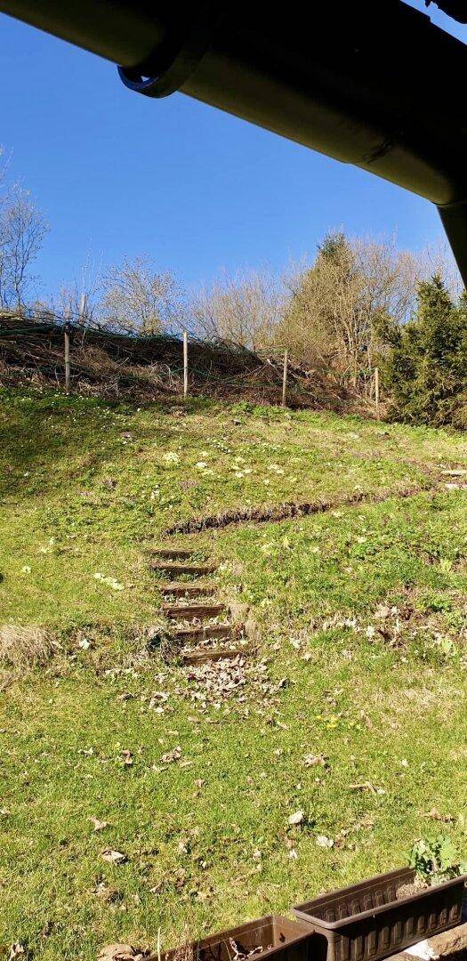 Großer, sonniger Gartenbereich mit Rasenfläche und Holzstufen am Hang.