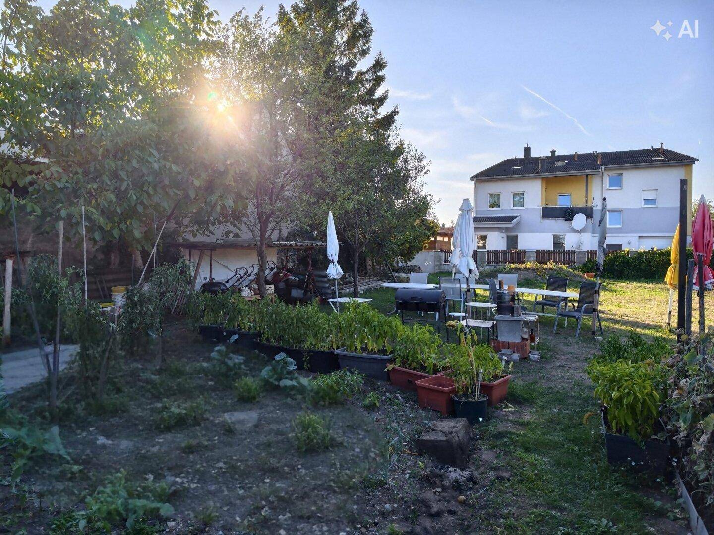 Sonniger Garten mit Anbauflächen, Gartenmöbeln und einem Wohngebäude im Hintergrund.