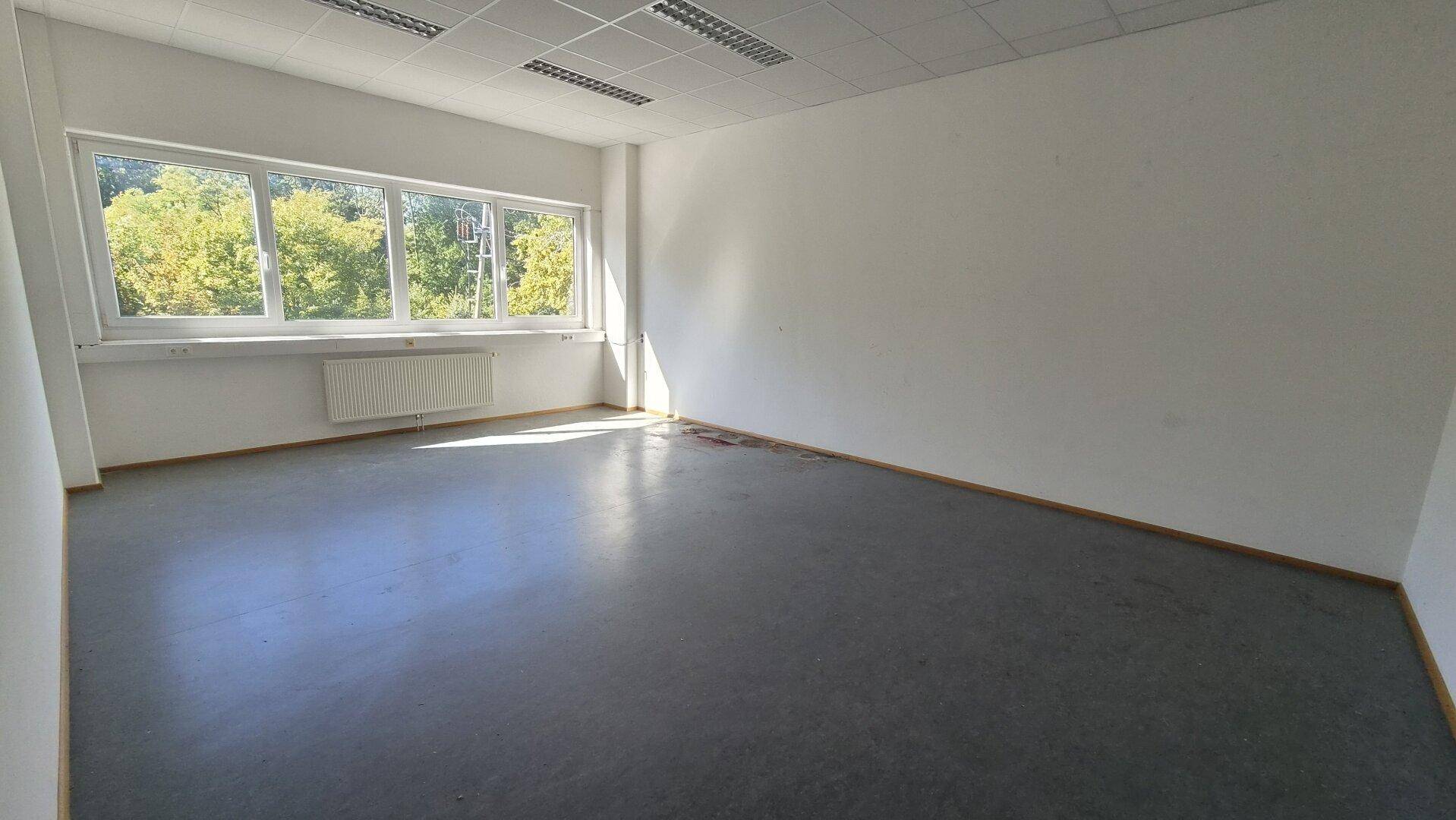 Heller, leerer Raum mit großen Fenstern, die einen Blick ins Grüne bieten, ausgestattet mit Heizkörper und Deckenbeleuchtung.
