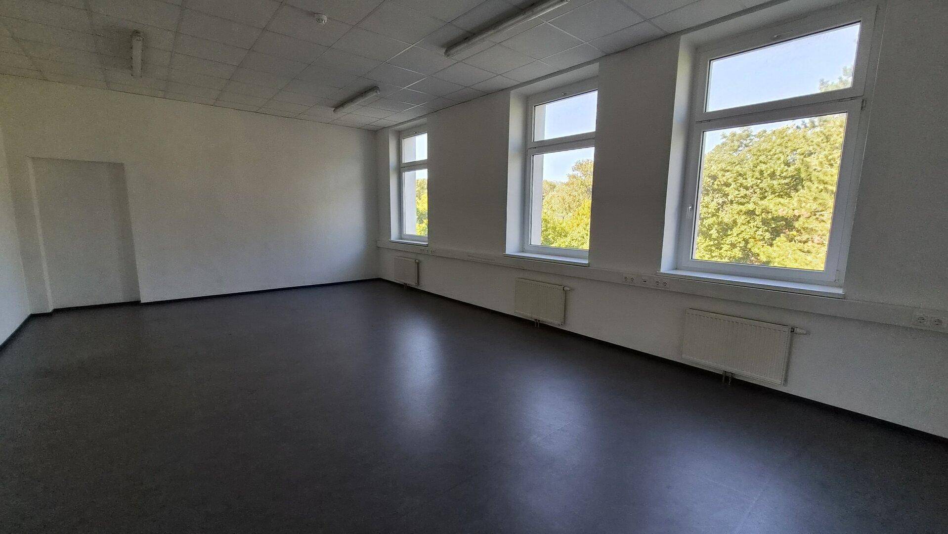 Leerer Raum mit weißen Wänden, dunklem Vinylboden und mehreren Fenstern mit Blick ins Grüne.