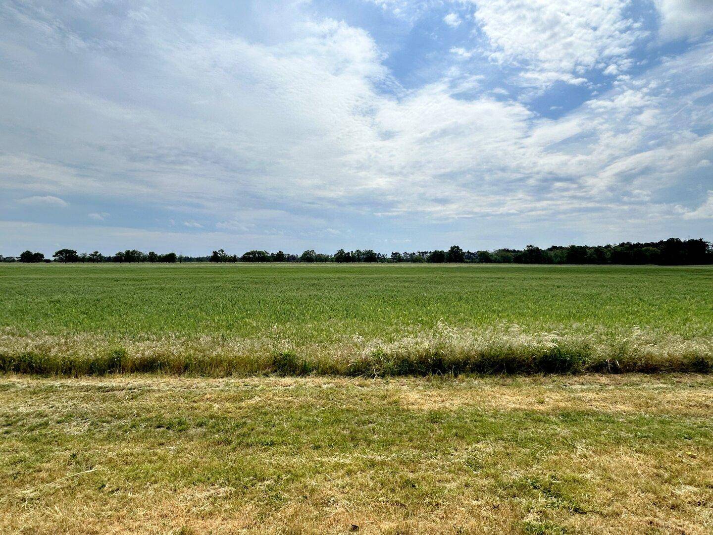 Ausblick vom Garten auf die Felder