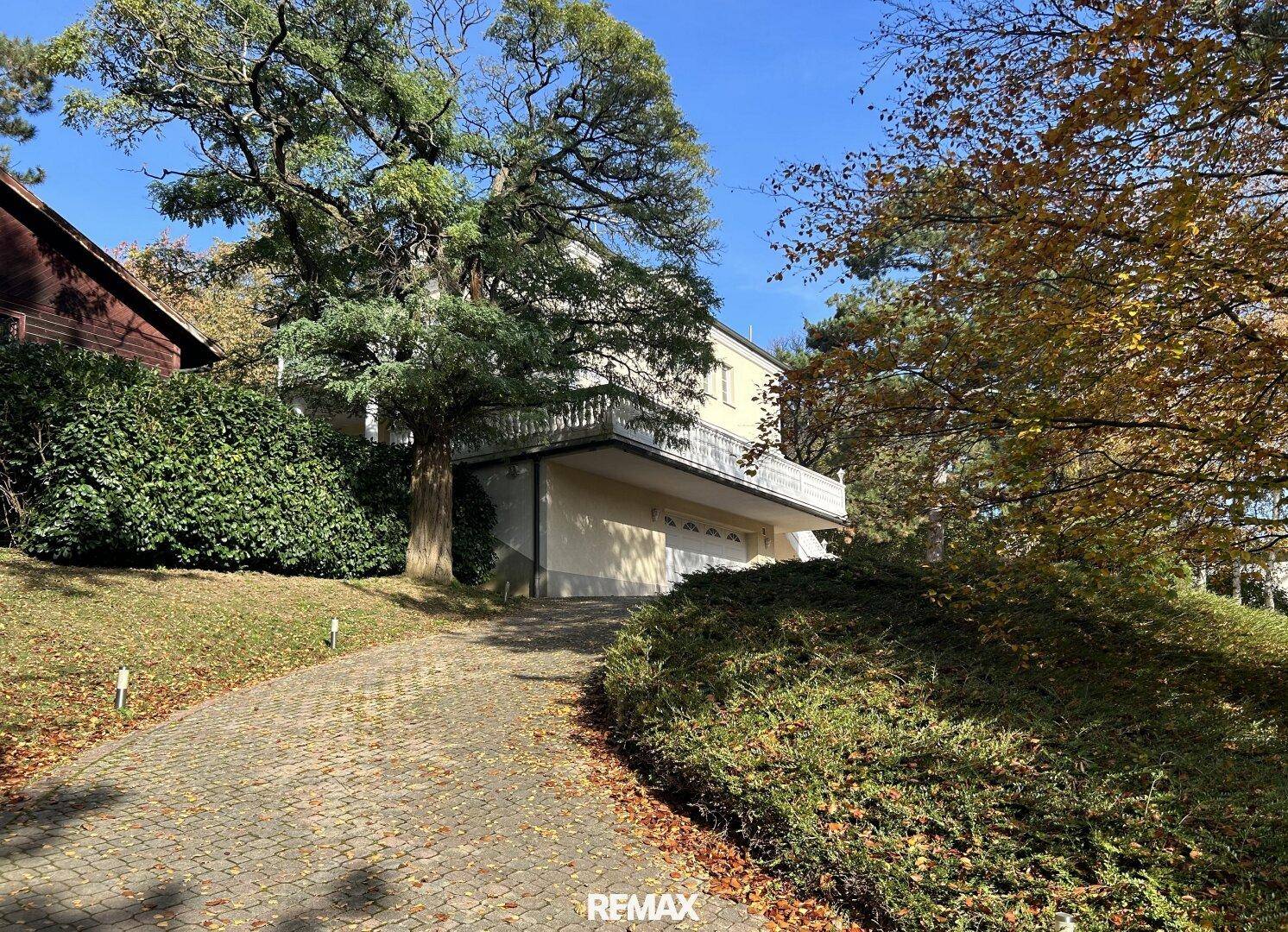 Lange Auffahrt zum Haus mit Doppelgarage, umgeben von altem Baumbestand.