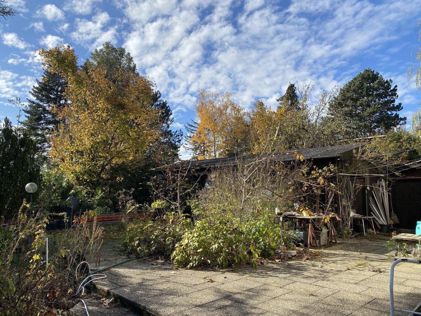 Garten mit Terrasse