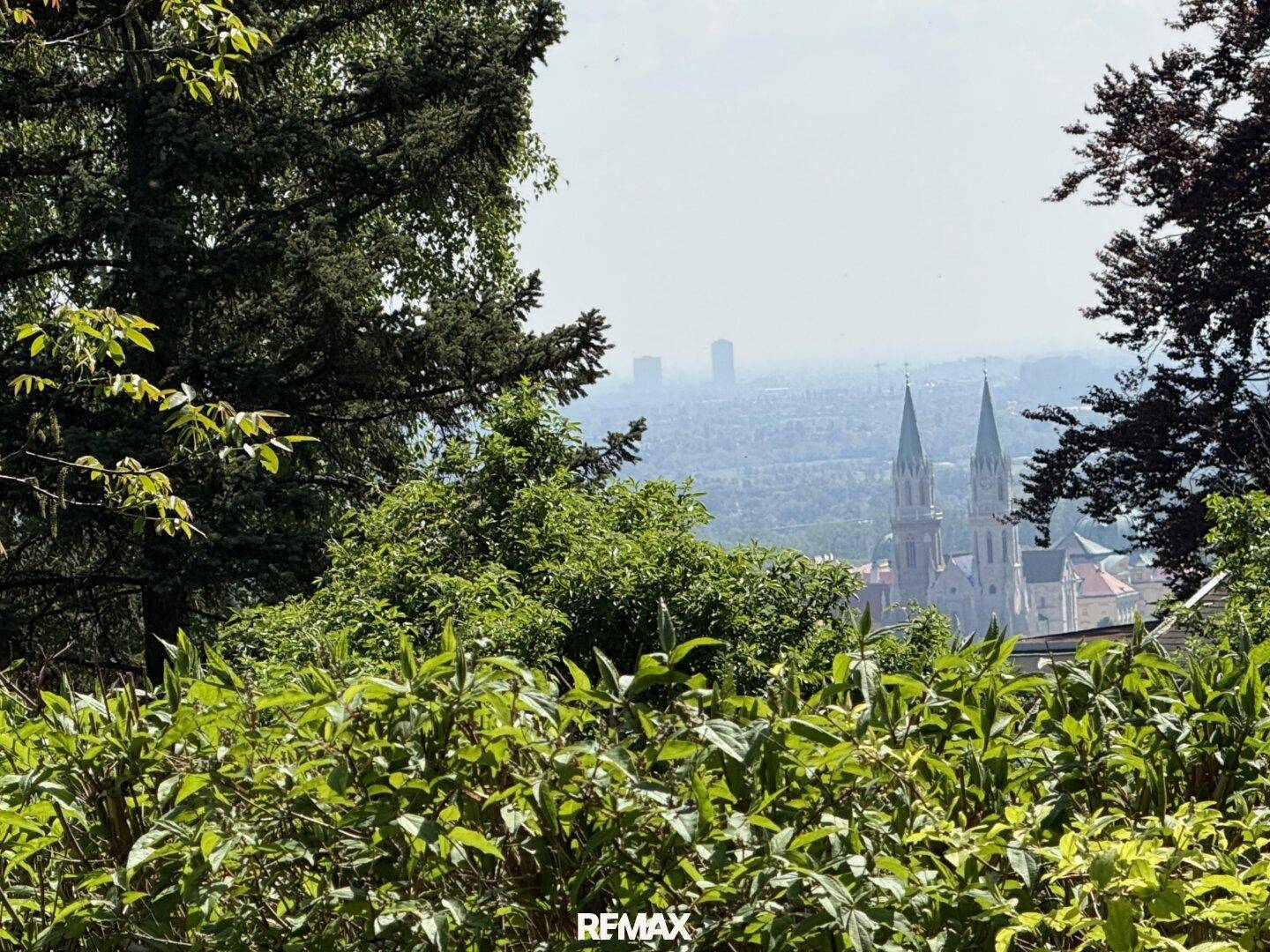 Blick durch dichtes Laubwerk auf die ferne Stadtkulisse mit markanten Kirchtürmen unter einem leicht diesigen Himmel.