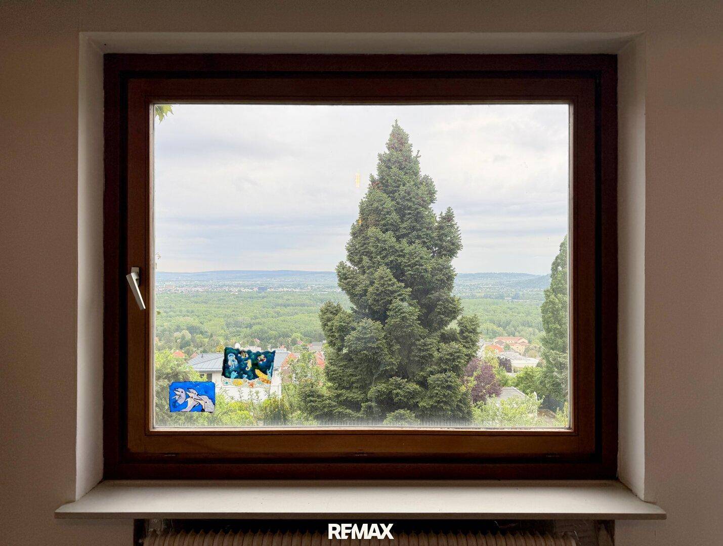 Fenster mit weitem Blick über die Landschaft und grüne Bäume unter bewölktem Himmel.