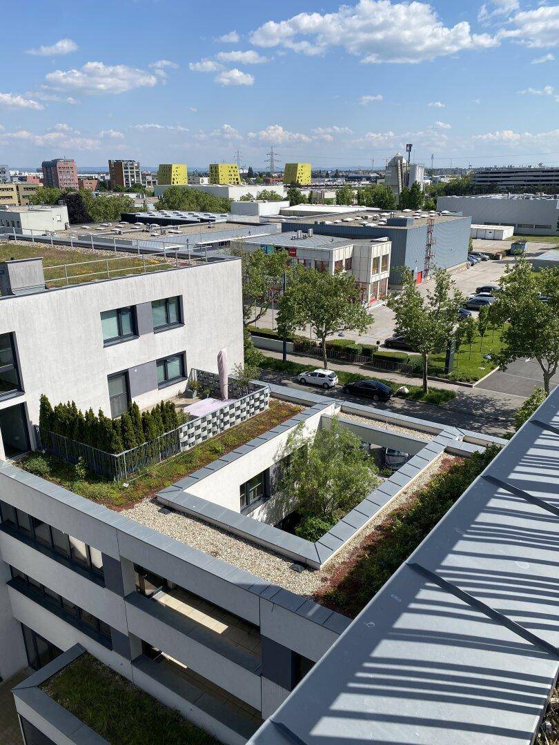 Architektur trifft Natur