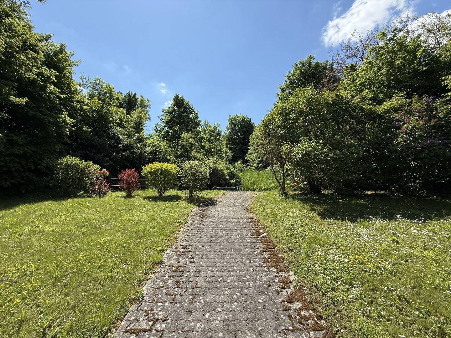 Gemeinschaftsgarten