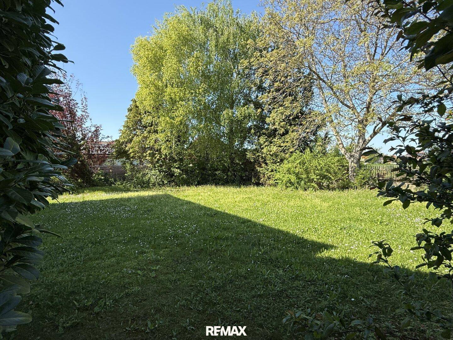 Blumenwiese! - Ansicht 2