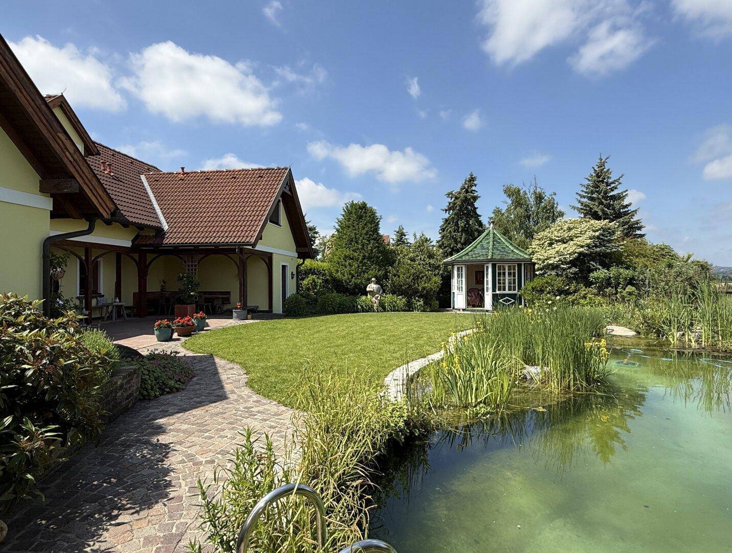 Einstieg in den Teich