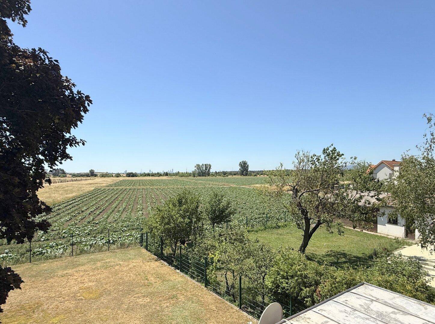 Ausblick