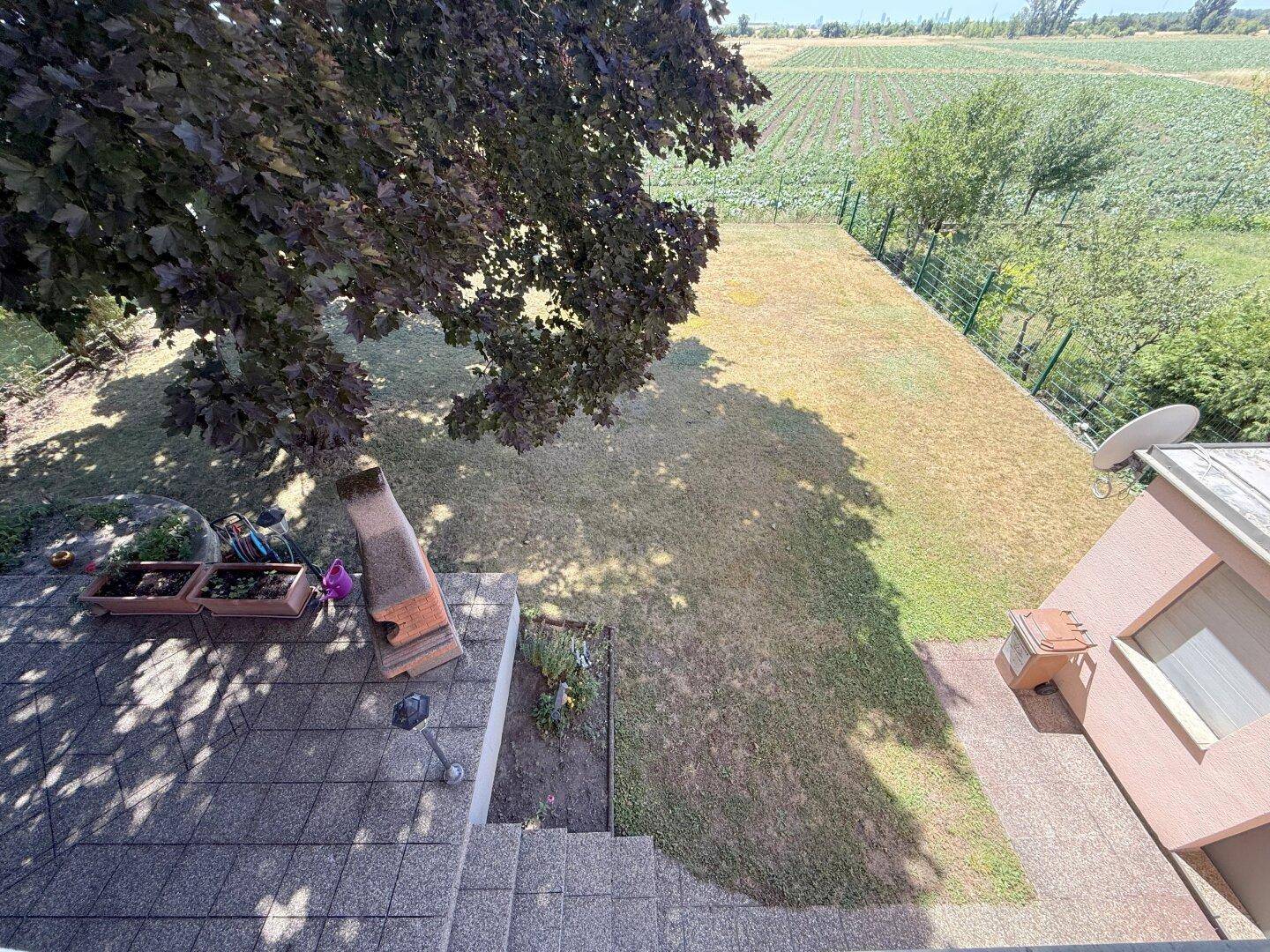 Ausblick auf Garten