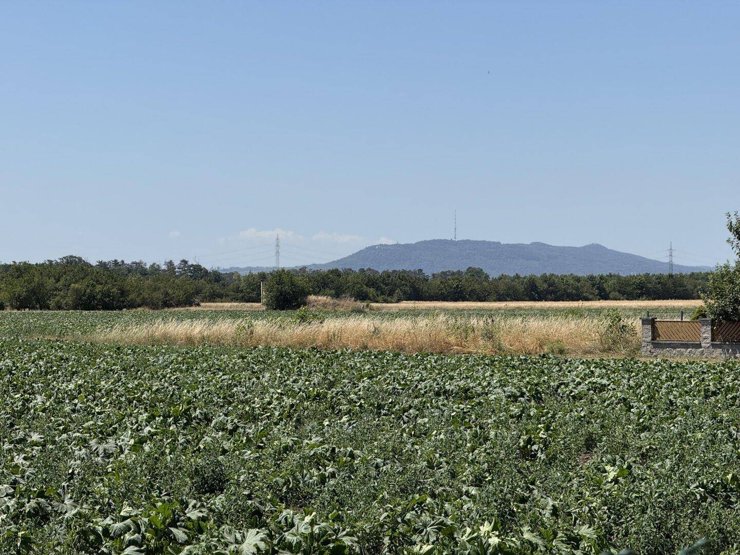 Ausblick vom Garten