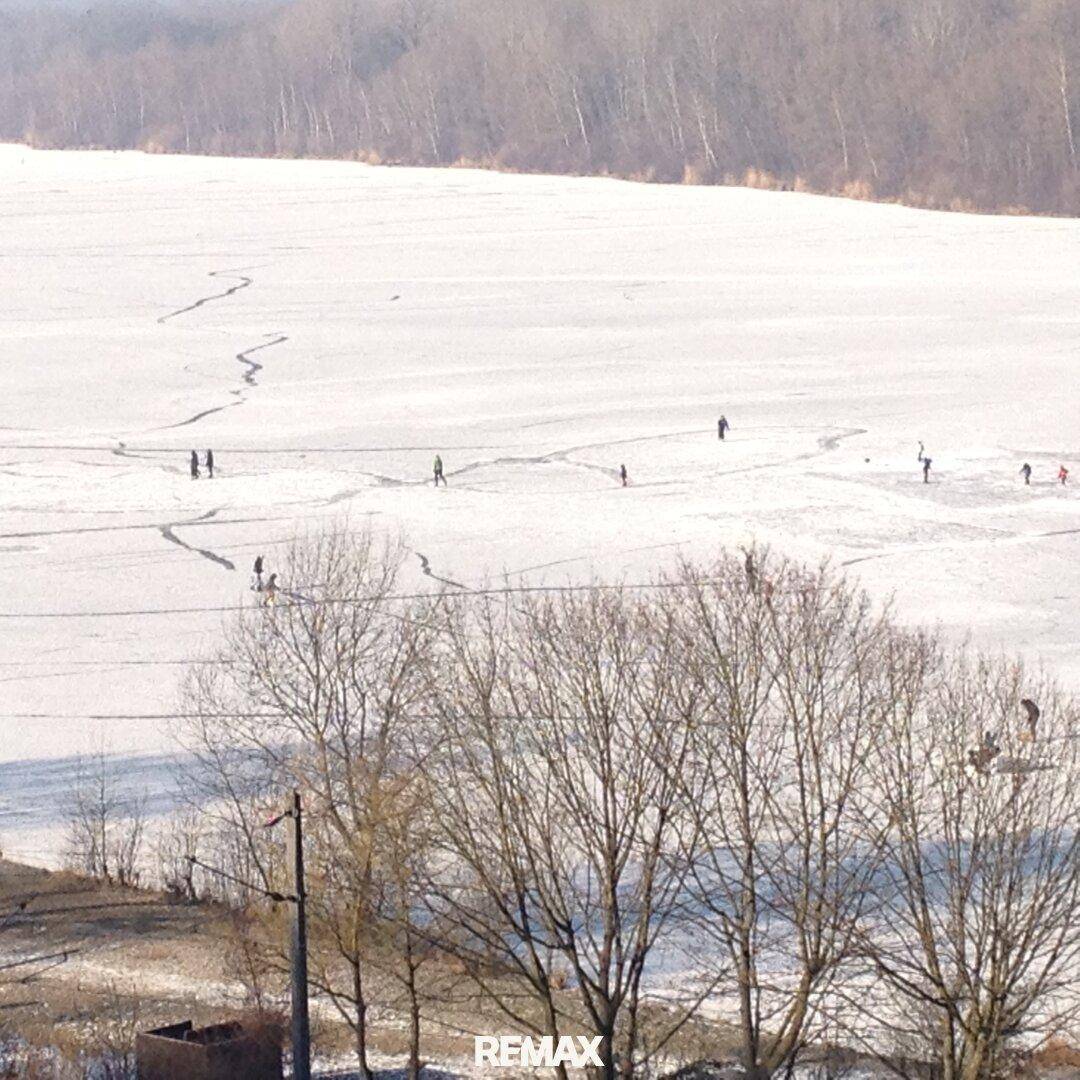 Winterliche Landschaft mit zugefrorenem See und Bäumen unter einem klaren Himmel.
