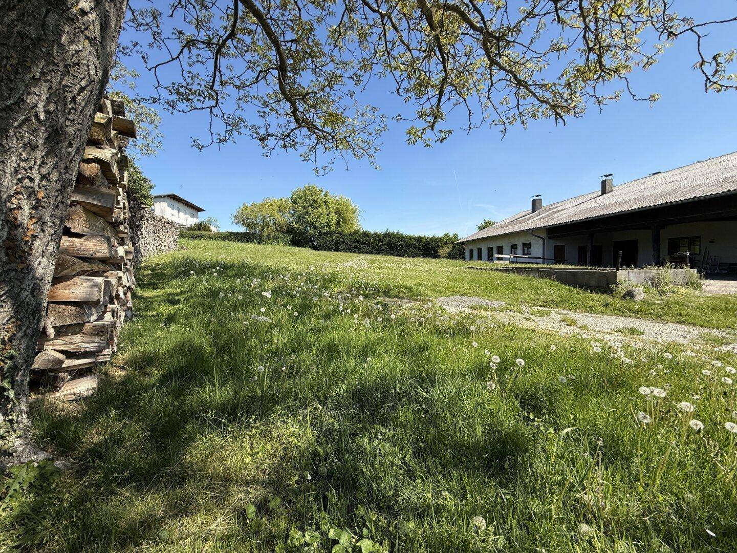 Hinter dem Haus