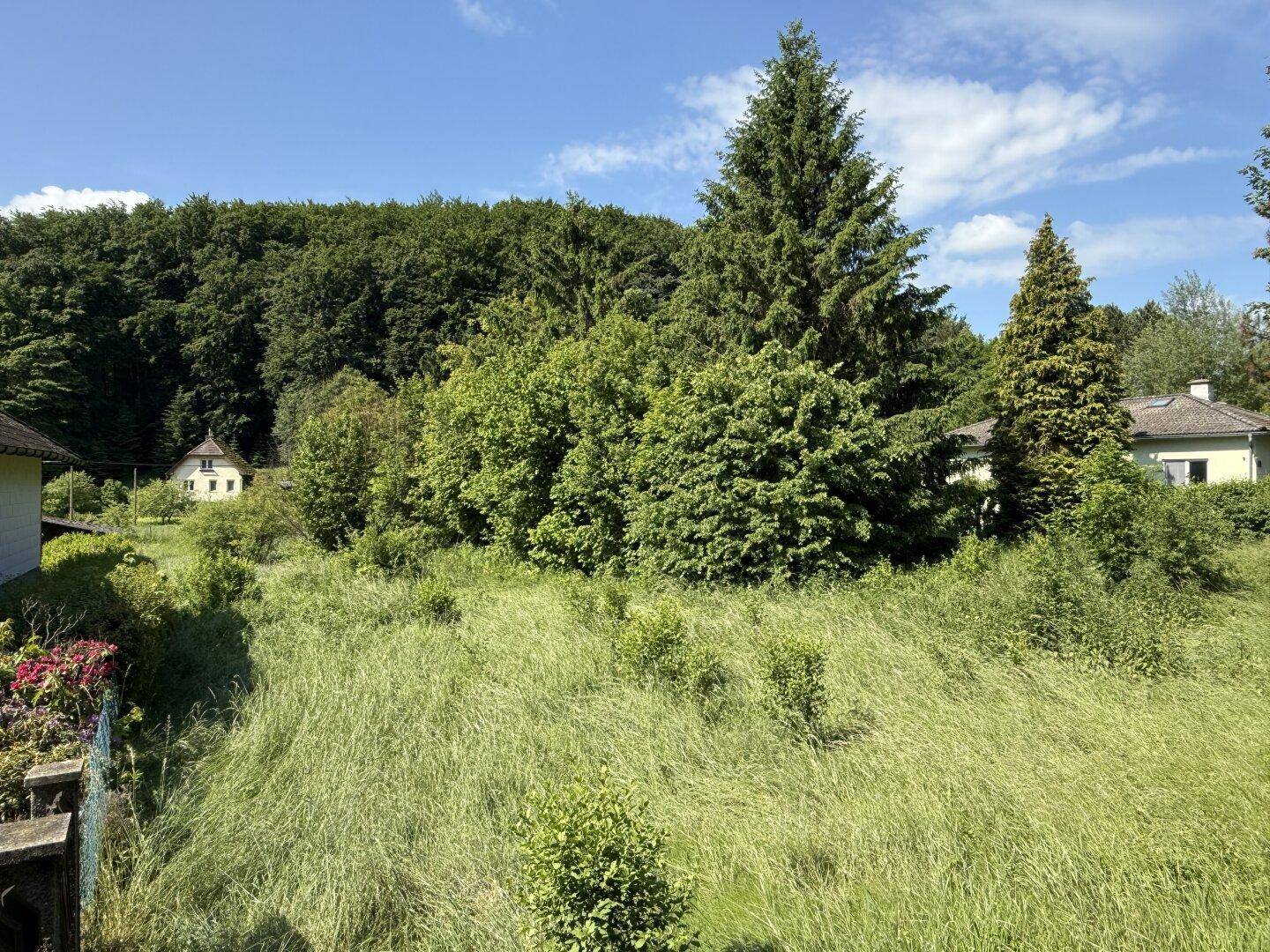 Grundstück