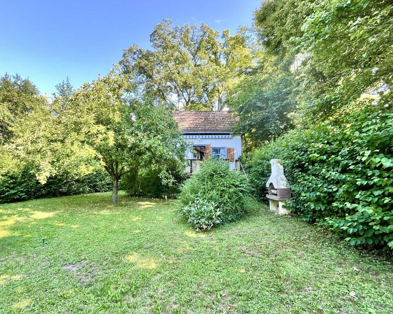 der Garten Richtung Süd