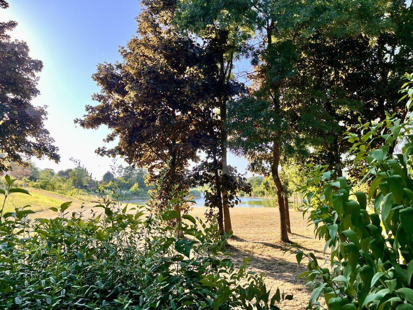 der schöne Seeblick vom Garten