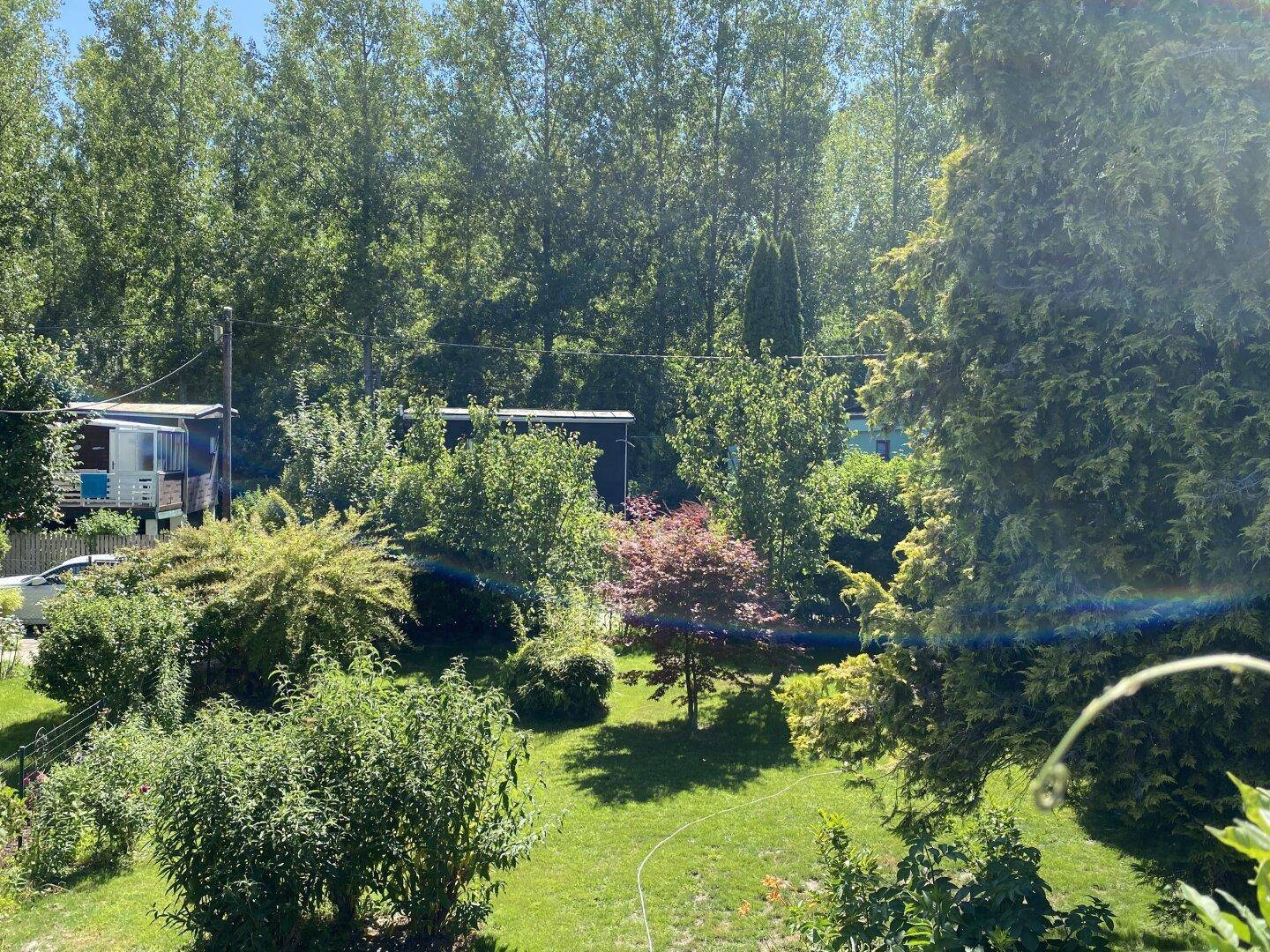 Blick in den Garten