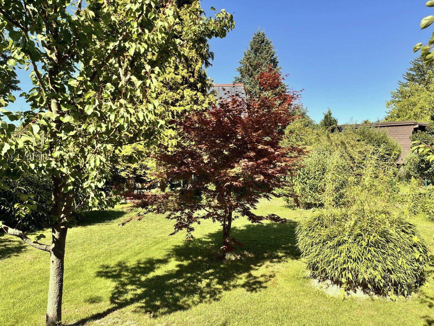 der Garten