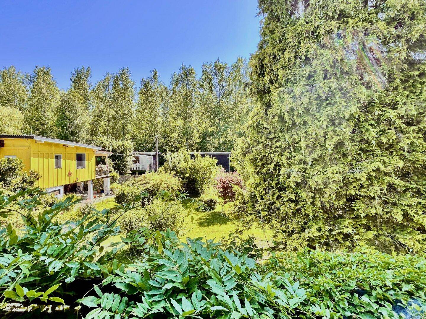 das Gartengemälde
