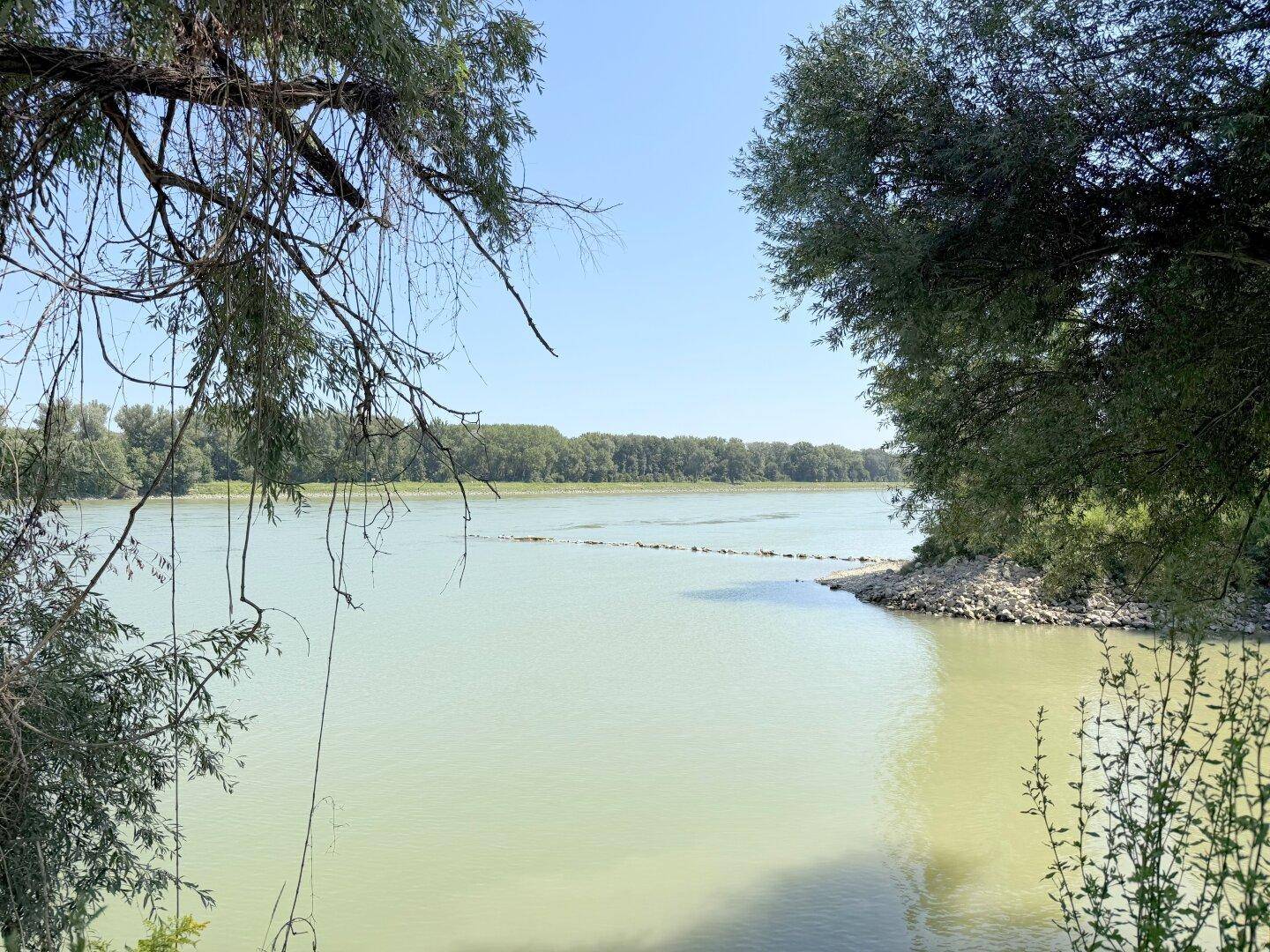 Donau