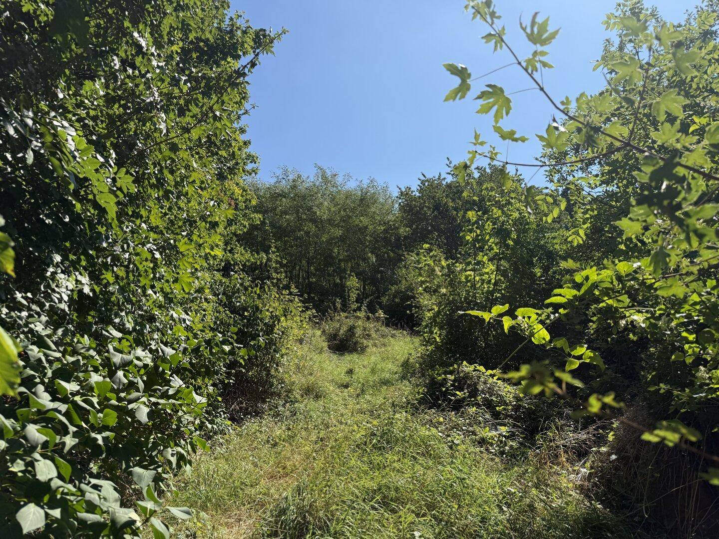 Grundstück