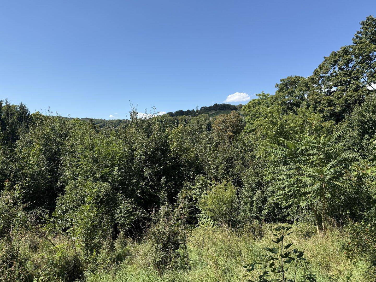 Grundstück mit Fernblick