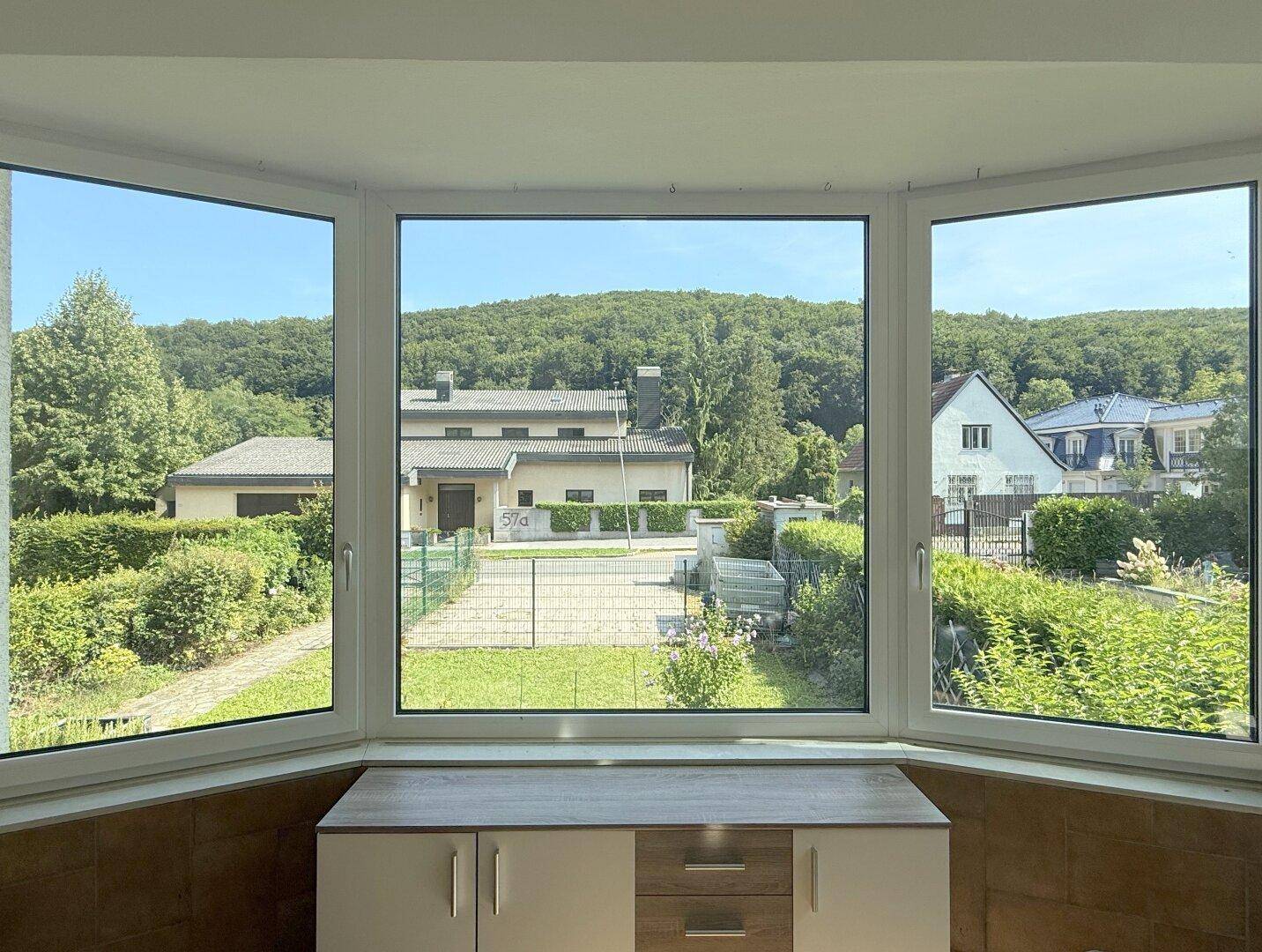 Erdgeschoss - Ausblick vom Wohnzimmer