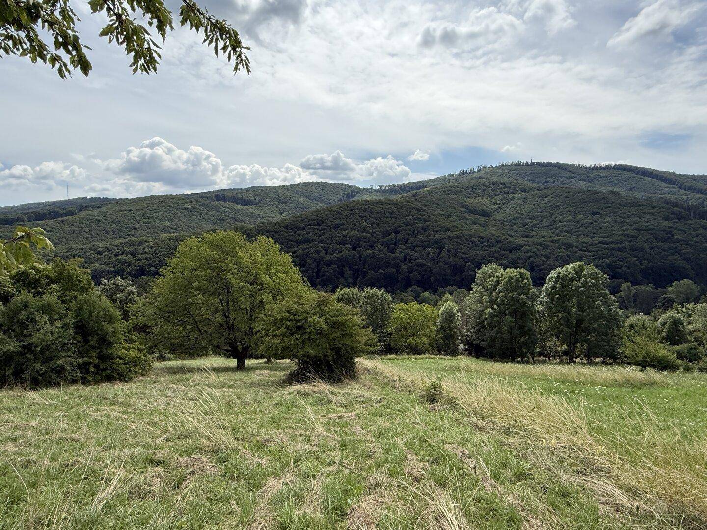 Ausblick vom Garten