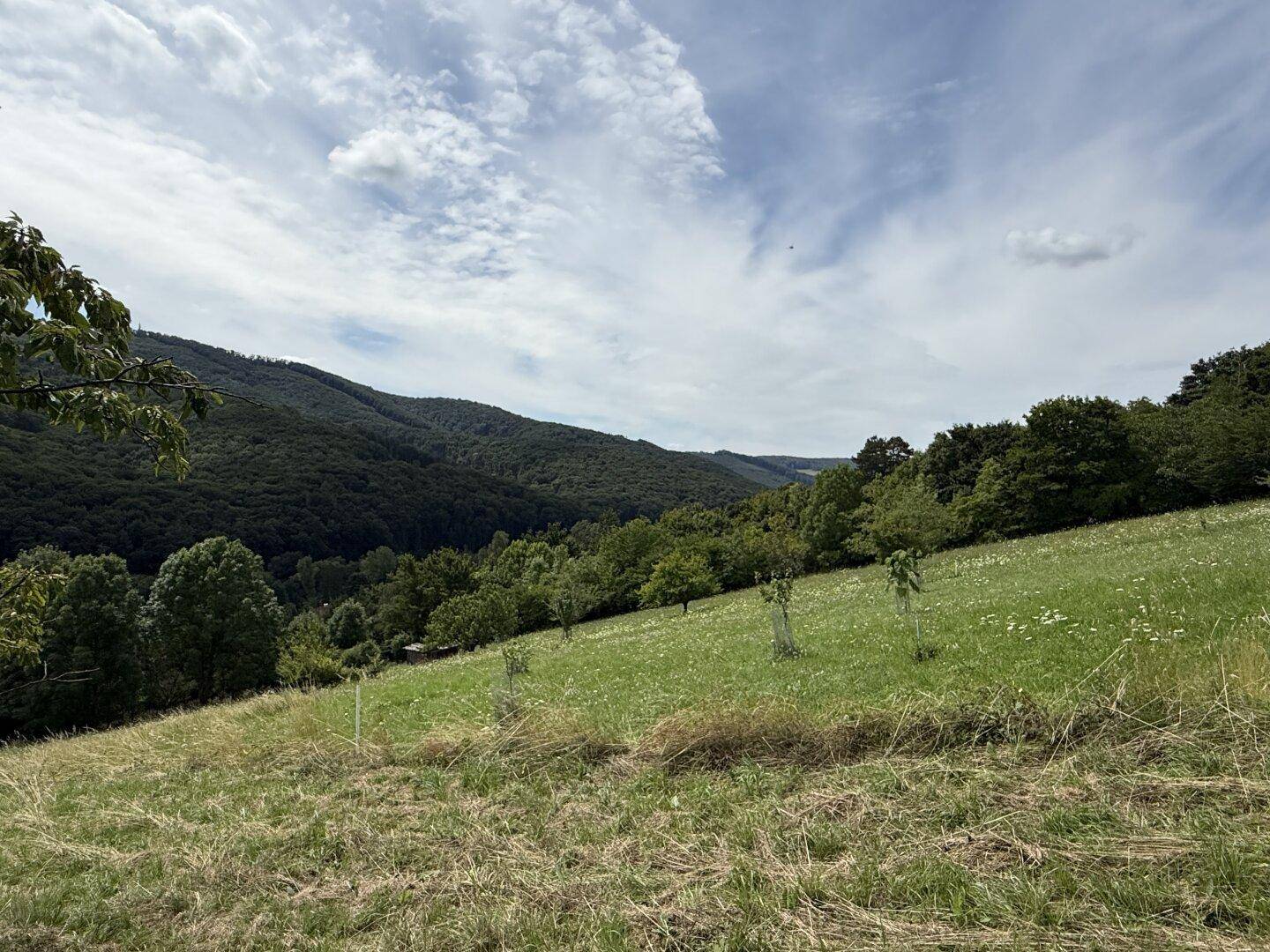 Ausblick vom Garten