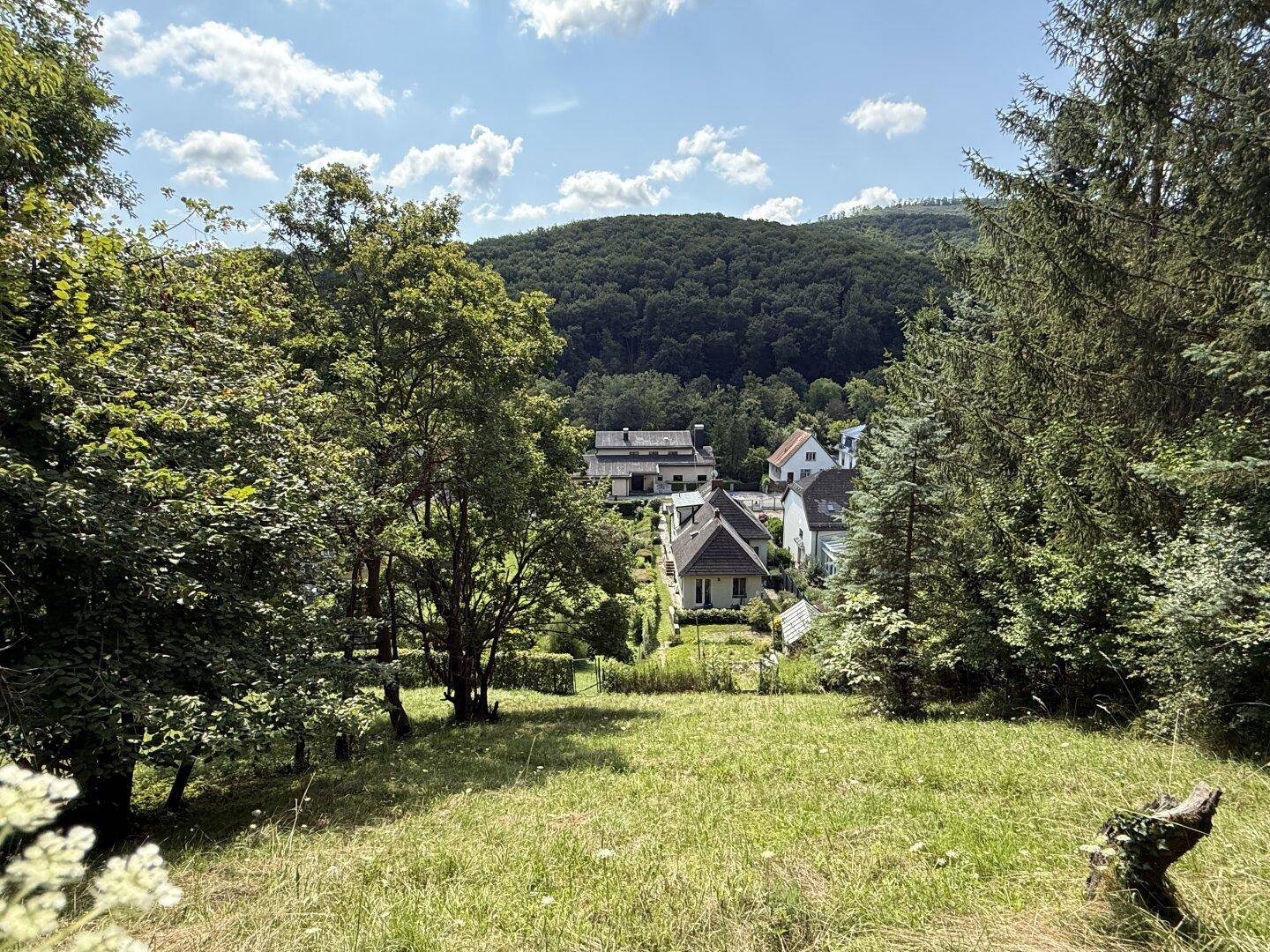 Das Haus vom hinteren Garten