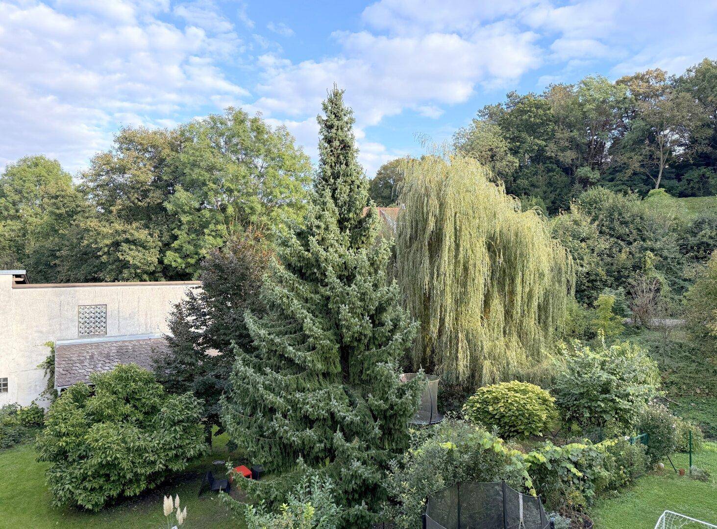 Grünblick vom Balkon