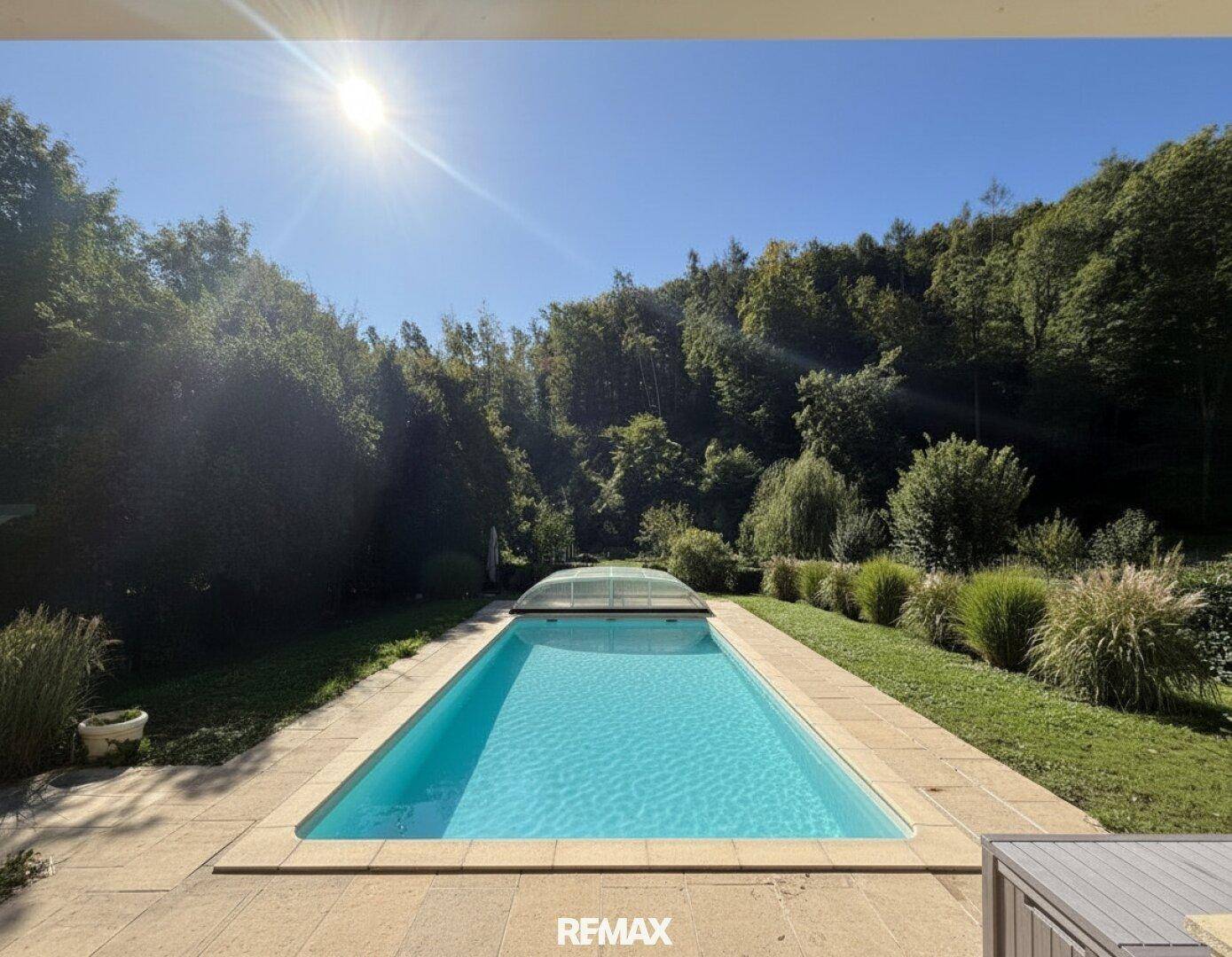 Sonniger Außenbereich mit großem Pool, umgeben von Rasen und Bäumen.