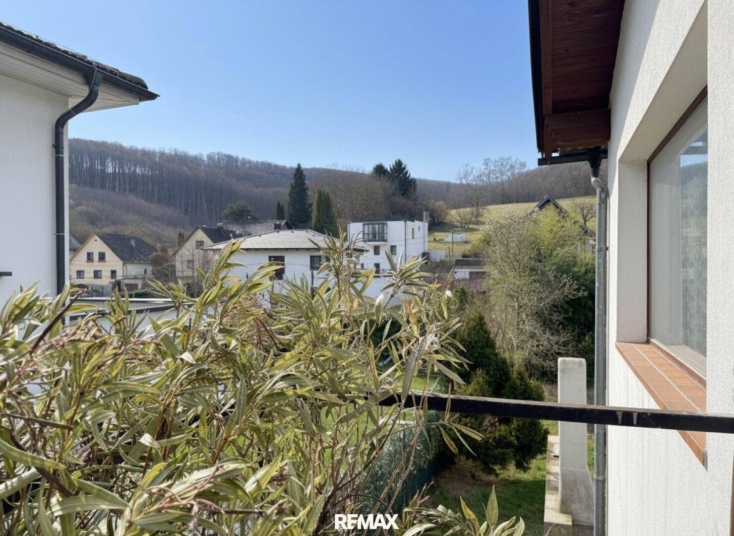 Blick vom Eingang