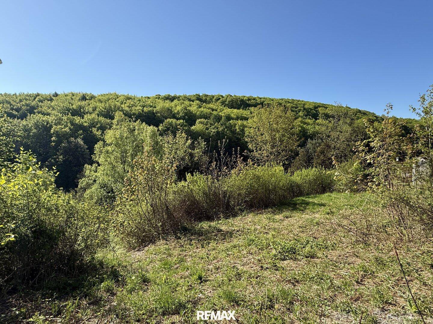 Grundstück mit freiem Blick auf den dichten, grünen Wald und die hügelige Landschaft.