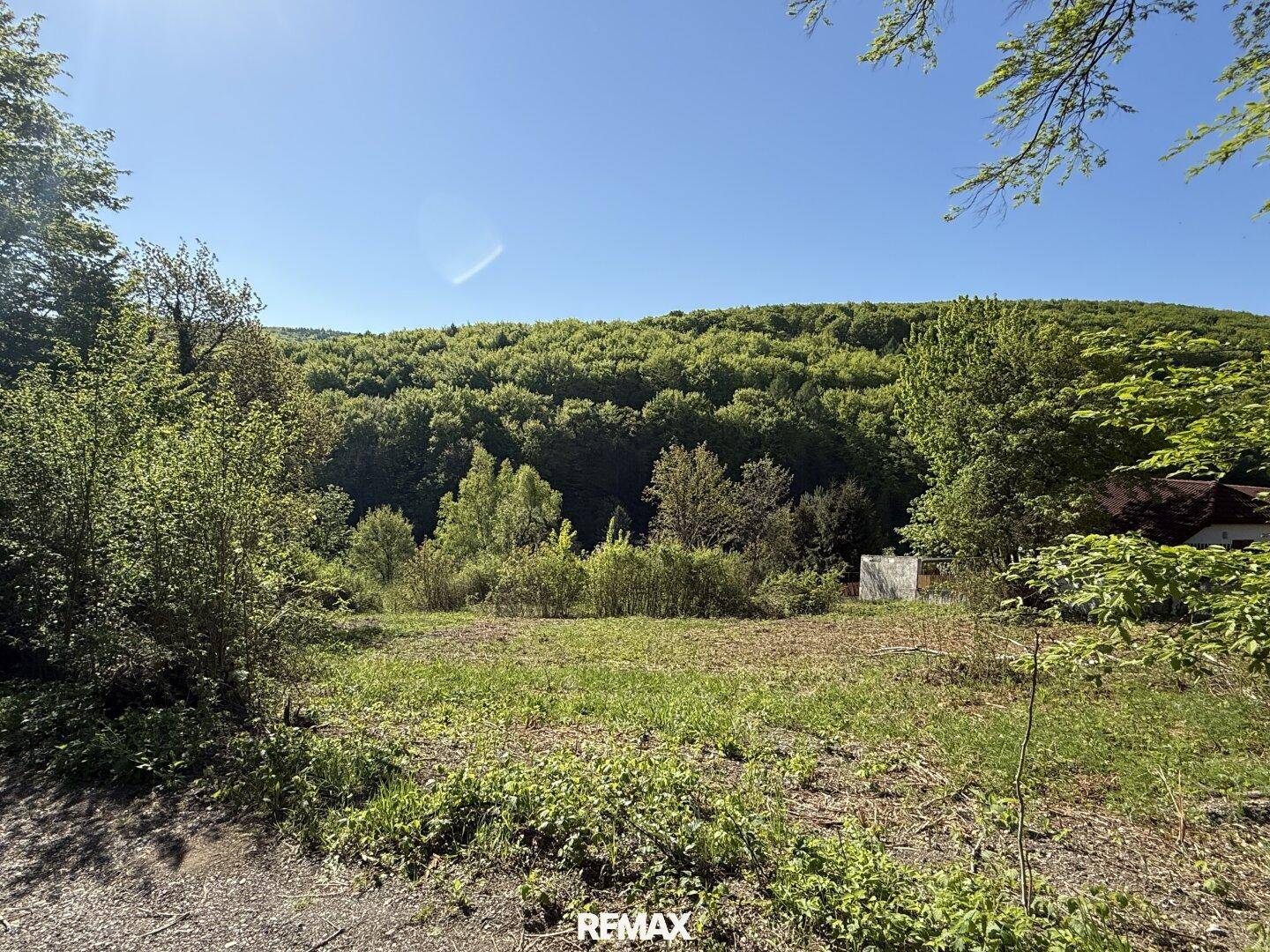Offenes Grundstück mit weitem Blick auf den grünen Wald und die natürliche Umgebung.