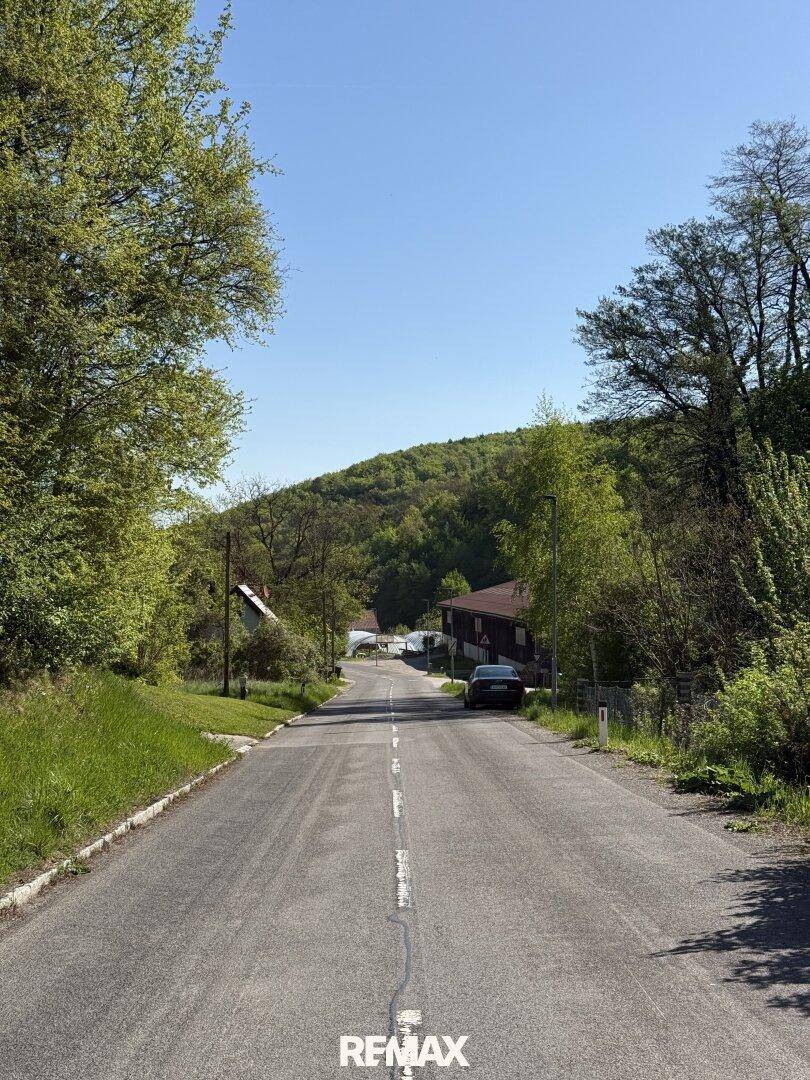 Landstraße führt durch eine grüne Landschaft mit Häusern und bewaldeten Hügeln im Hintergrund.