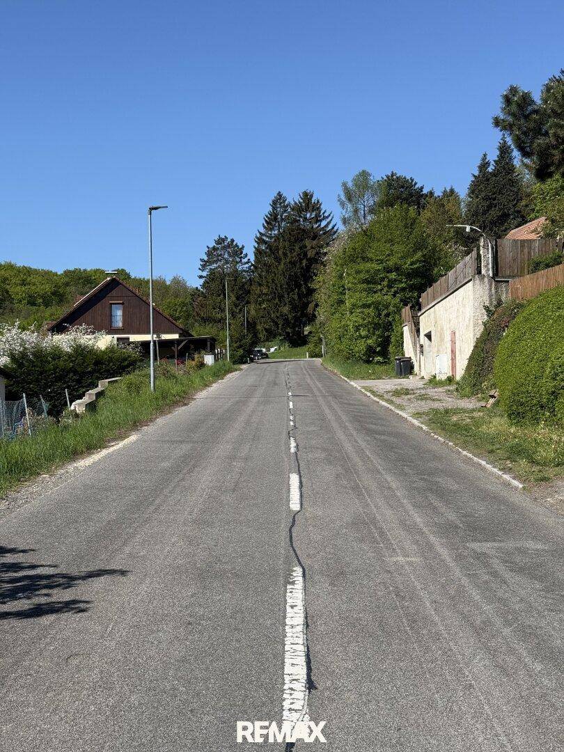 Lange, gerade Straße führt bergauf, gesäumt von Bäumen und Häusern in ländlicher Umgebung.