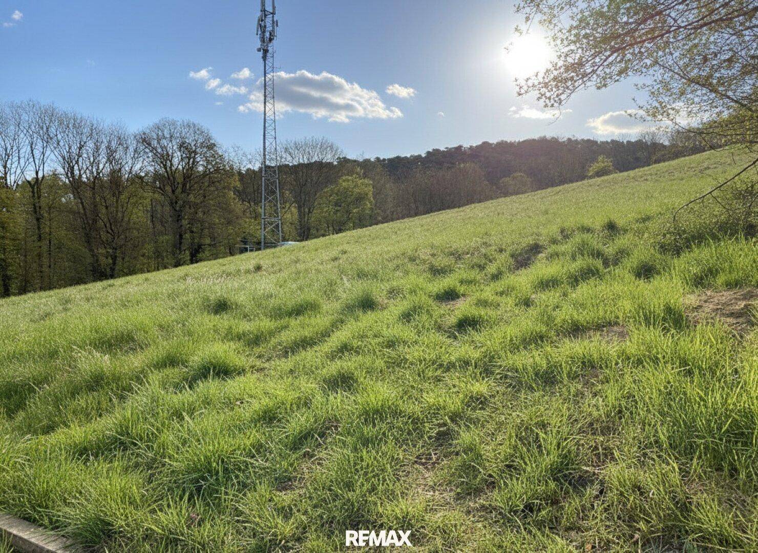 Grüne Hügellandschaft unter strahlendem Sonnenschein mit einem Mobilfunkmast in der Ferne.